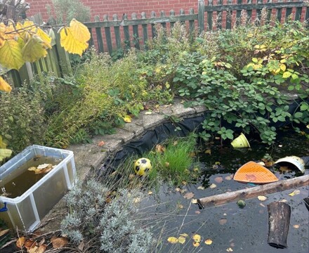 Pond 2